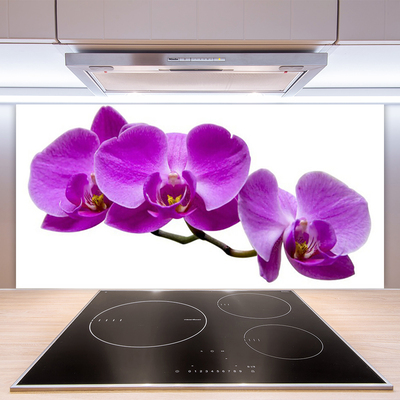 Kitchen Splashback Flowers floral pink