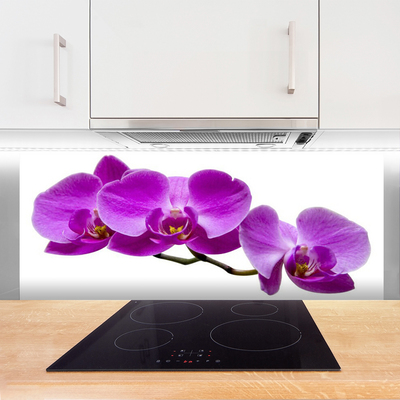 Kitchen Splashback Flowers floral pink