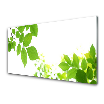 Kitchen Splashback Petals floral white green