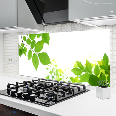 Kitchen Splashback Petals floral white green