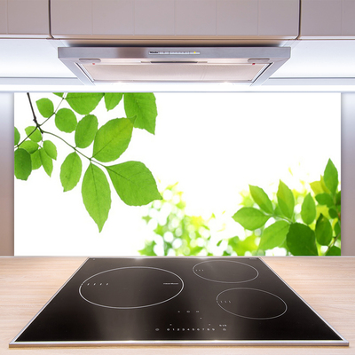 Kitchen Splashback Petals floral white green