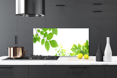 Kitchen Splashback Petals floral white green