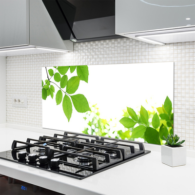 Kitchen Splashback Petals floral white green