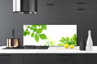 Kitchen Splashback Petals floral white green