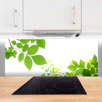 Kitchen Splashback Petals floral white green