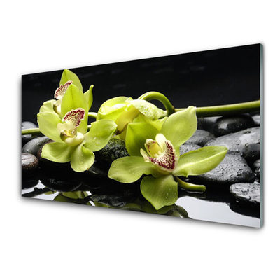 Kitchen Splashback Flower stones floral green black