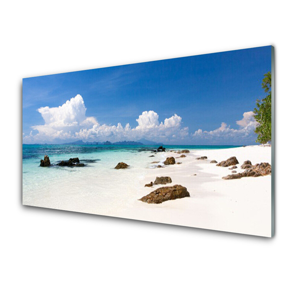 Kitchen Splashback Beach stones landscape white grey