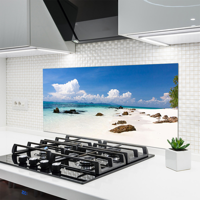 Kitchen Splashback Beach stones landscape white grey