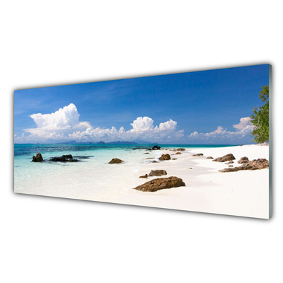 Kitchen Splashback Beach stones landscape white grey