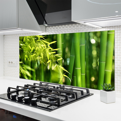 Kitchen Splashback Bamboo leaves floral green