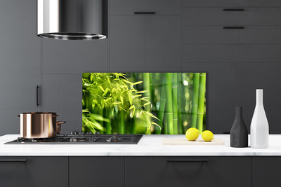 Kitchen Splashback Bamboo leaves floral green