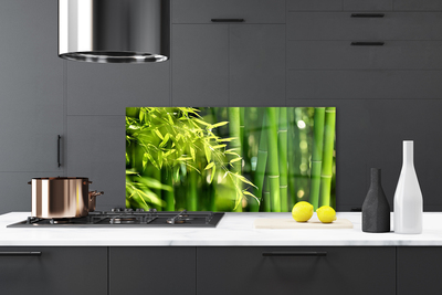 Kitchen Splashback Bamboo leaves floral green