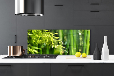 Kitchen Splashback Bamboo leaves floral green