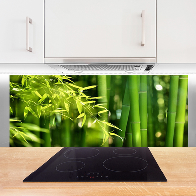 Kitchen Splashback Bamboo leaves floral green