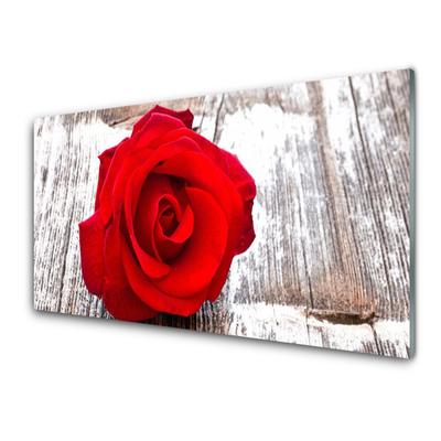 Kitchen Splashback Rose floral red