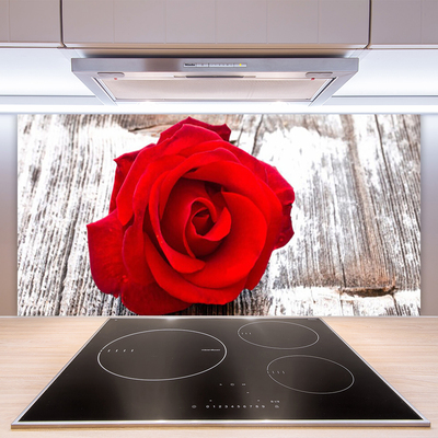 Kitchen Splashback Rose floral red