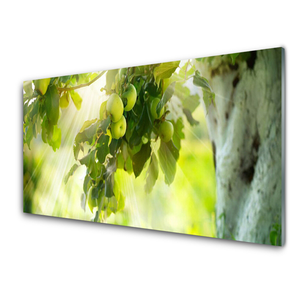 Kitchen Splashback Branch of apples kitchen green brown