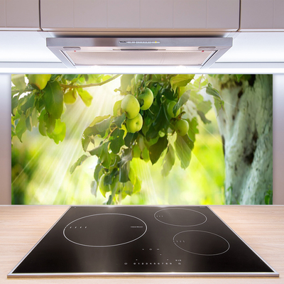 Kitchen Splashback Branch of apples kitchen green brown