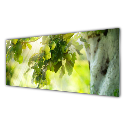 Kitchen Splashback Branch of apples kitchen green brown