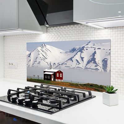 Kitchen Splashback Mountain house landscape white grey brown green