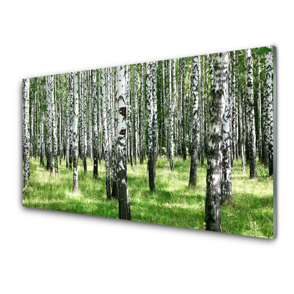 Kitchen Splashback Forest nature black white green