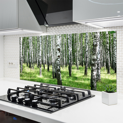 Kitchen Splashback Forest nature black white green