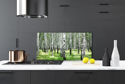 Kitchen Splashback Forest nature black white green