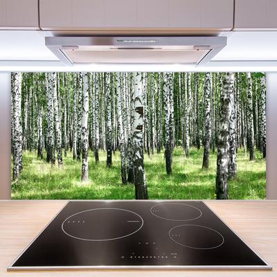 Kitchen Splashback Forest nature black white green