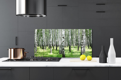 Kitchen Splashback Forest nature black white green