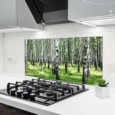 Kitchen Splashback Forest nature black white green