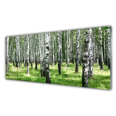 Kitchen Splashback Forest nature black white green