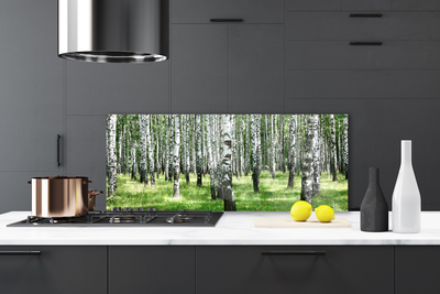 Kitchen Splashback Forest nature black white green