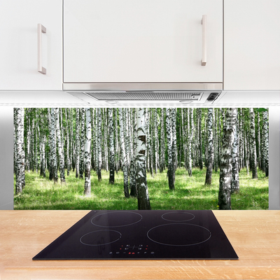 Kitchen Splashback Forest nature black white green