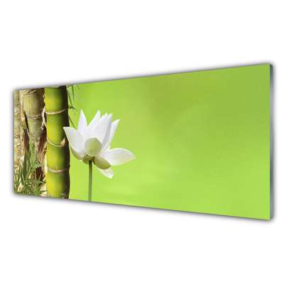 Kitchen Splashback Bamboo stalk flower floral green white