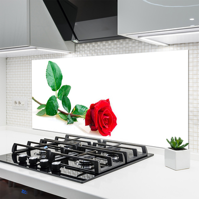 Kitchen Splashback Rose floral red