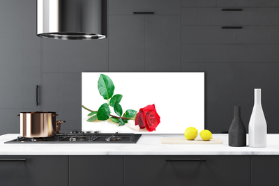 Kitchen Splashback Rose floral red