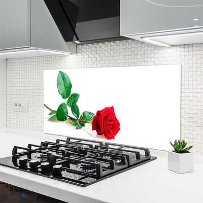 Kitchen Splashback Rose floral red