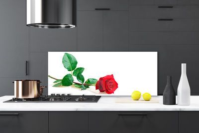 Kitchen Splashback Rose floral red