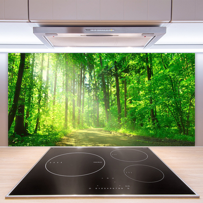 Kitchen Splashback Forest nature brown green