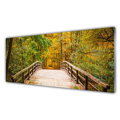 Kitchen Splashback Forest bridge architecture brown green