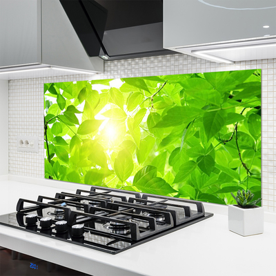 Kitchen Splashback Leaves floral green