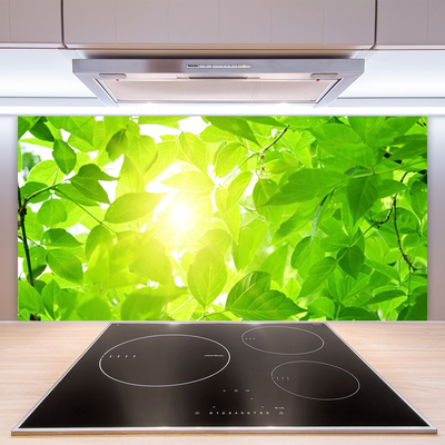 Kitchen Splashback Leaves floral green