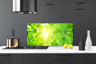 Kitchen Splashback Leaves floral green