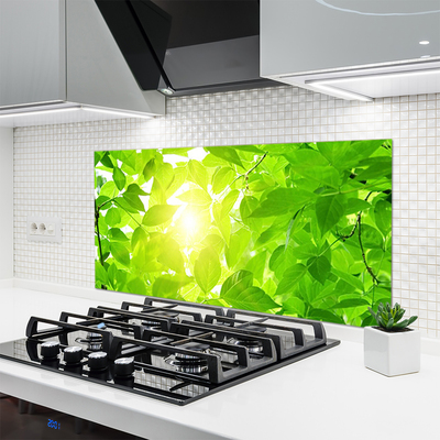 Kitchen Splashback Leaves floral green