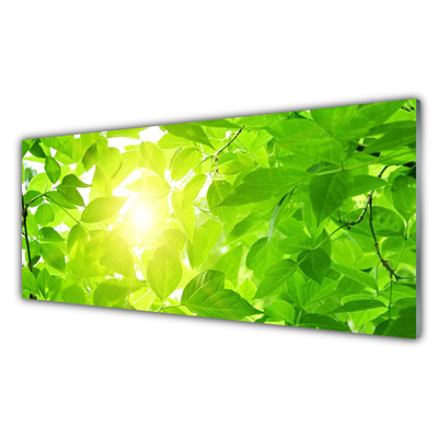 Kitchen Splashback Leaves floral green