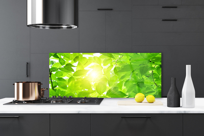 Kitchen Splashback Leaves floral green