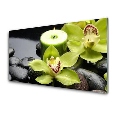 Kitchen Splashback Flower stones floral green black