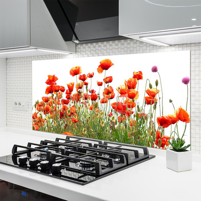 Kitchen Splashback Poppies nature red