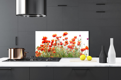 Kitchen Splashback Poppies nature red