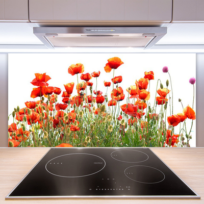 Kitchen Splashback Poppies nature red